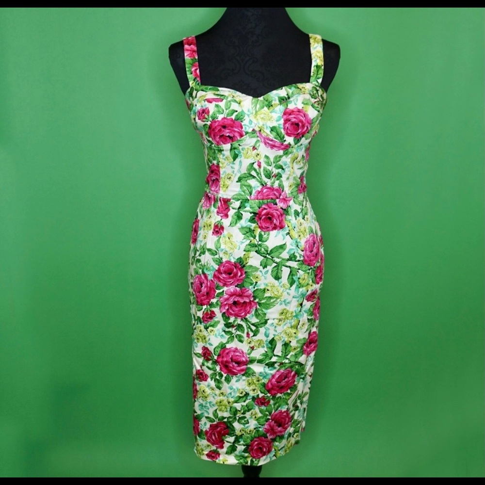 Floral Vamp Dress Deadly Dames Micheline Pitt - M